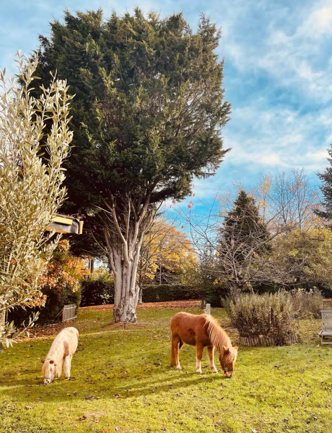 Cottage Normand Avec Sa Grande Piscine Chauffee Toute L Annee Sur Parc Arbore Et Clos En Plein Coeur De La Campagne Adapte Aux Kids Et Dog Friendly Saint-Antonin-de-Sommaire Екстериор снимка