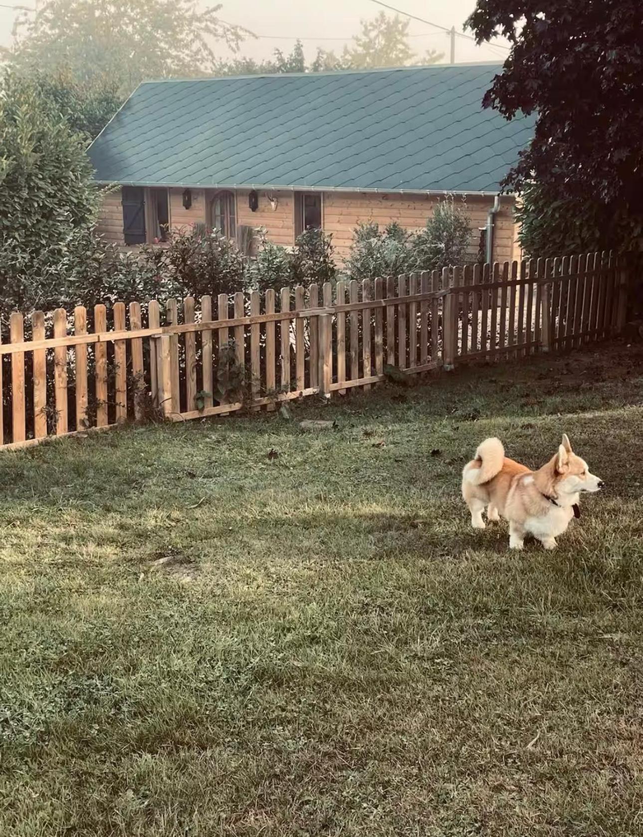 Cottage Normand Avec Sa Grande Piscine Chauffee Toute L Annee Sur Parc Arbore Et Clos En Plein Coeur De La Campagne Adapte Aux Kids Et Dog Friendly Saint-Antonin-de-Sommaire Екстериор снимка